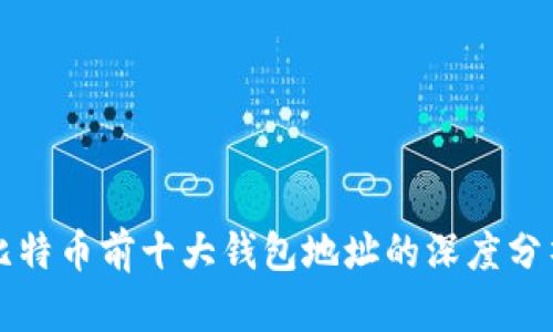 比特币前十大钱包地址的深度分析